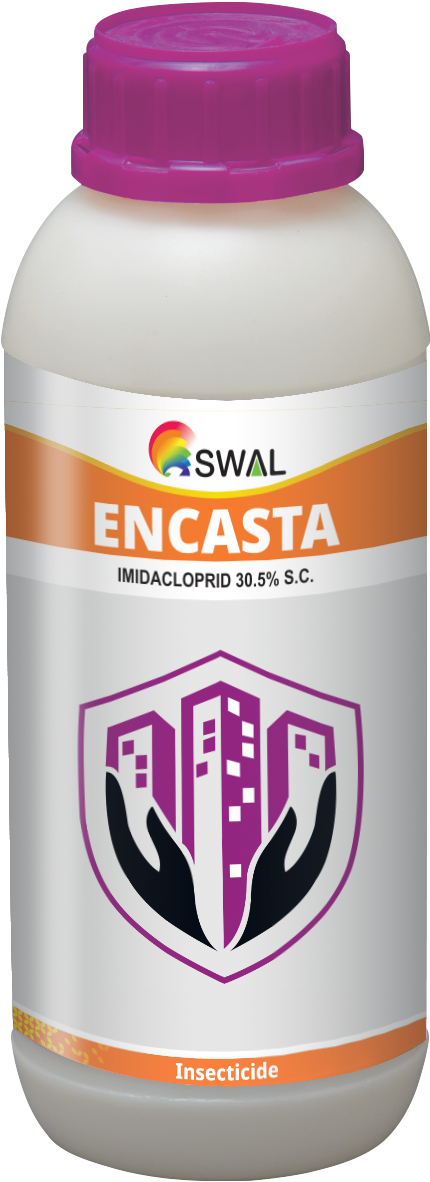 Encasta