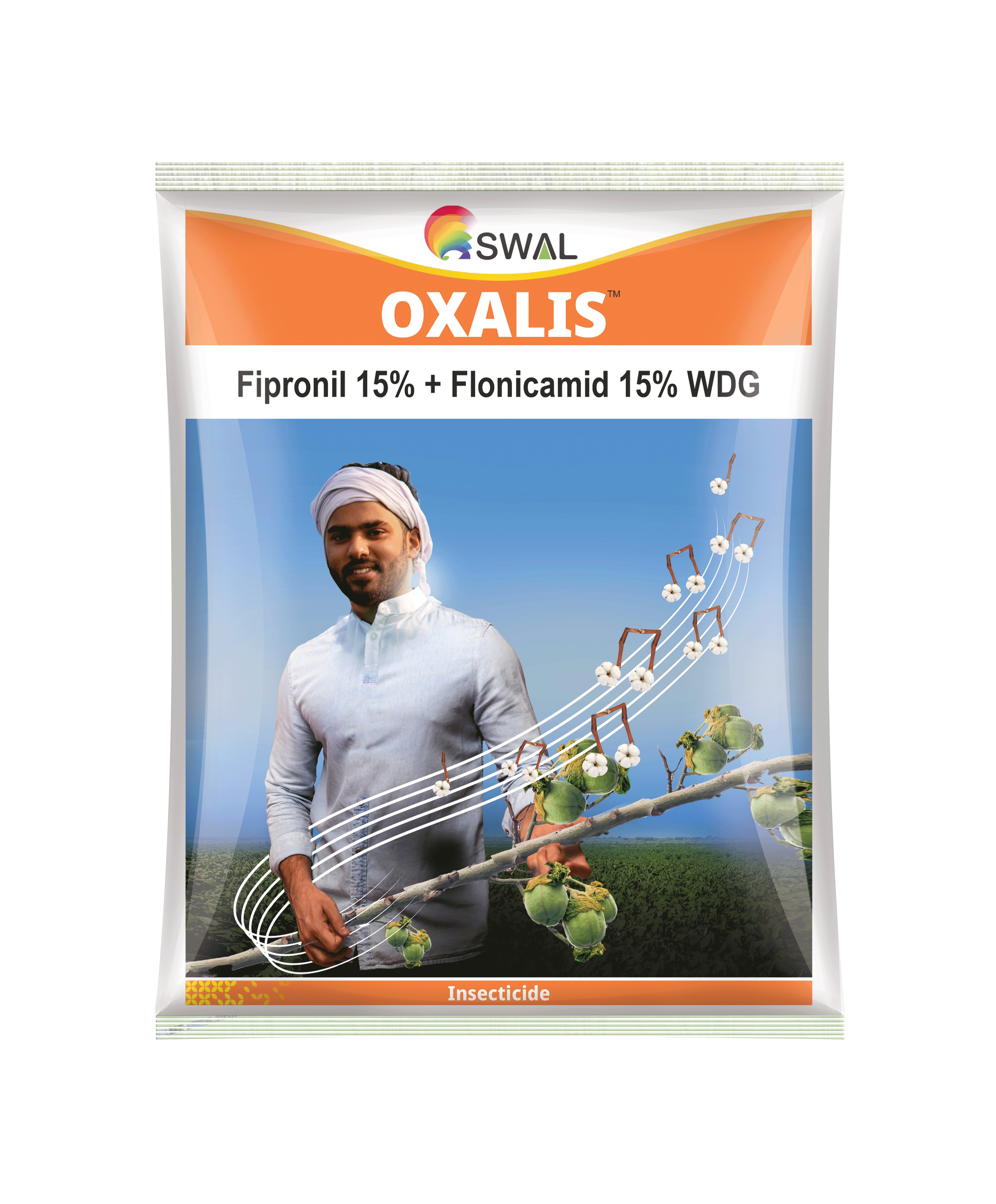 Oxalis