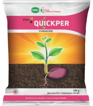 Quickper