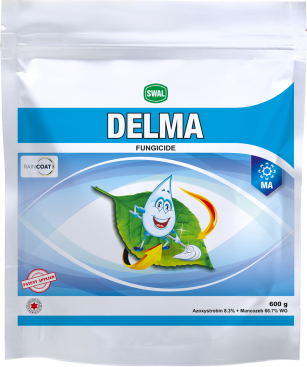 Delma
