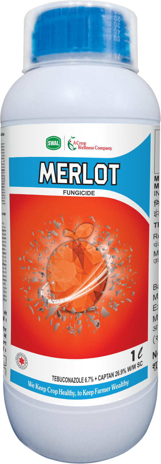 Merlot