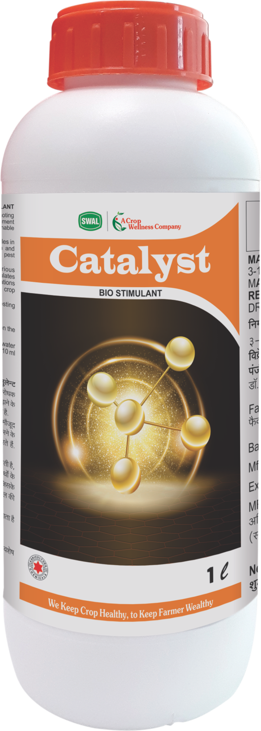 Catalyst