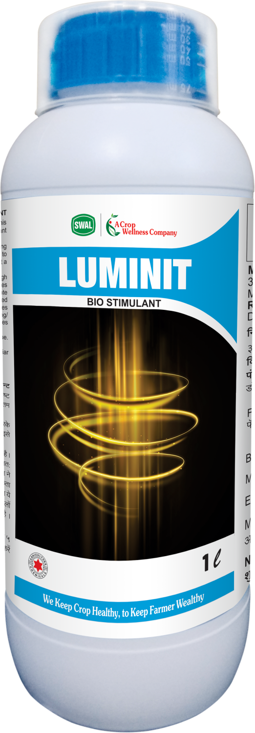 Luminit