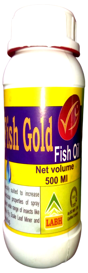 Fish Gold