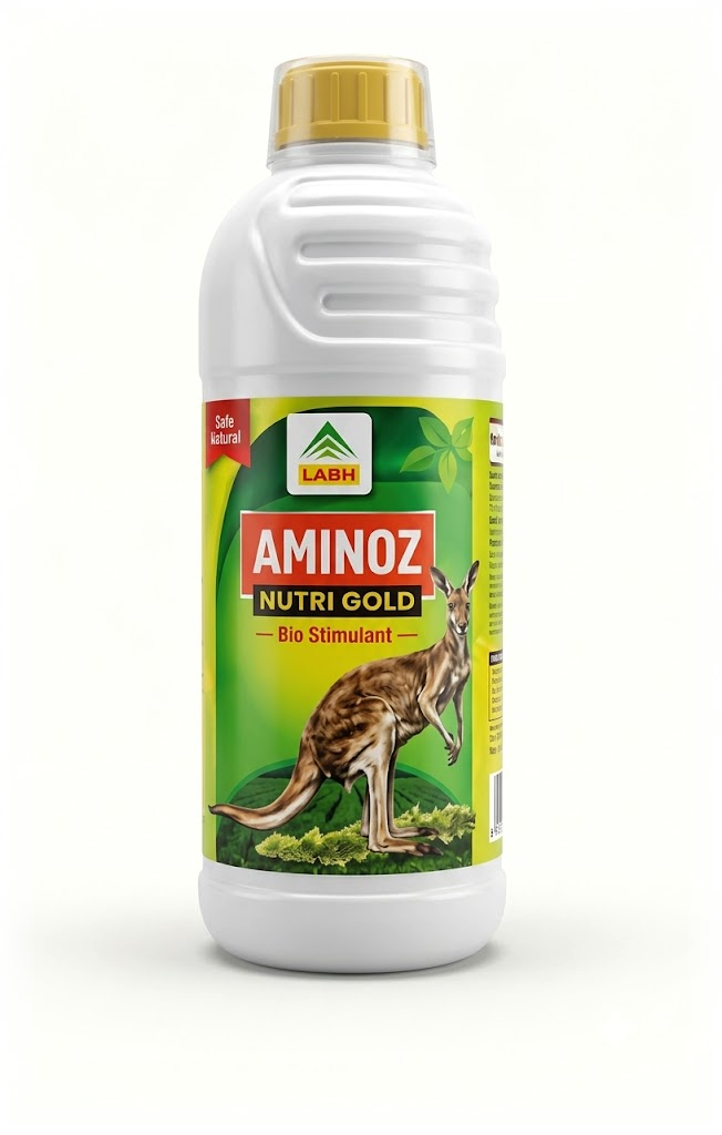 Aminoz Nutri Gold