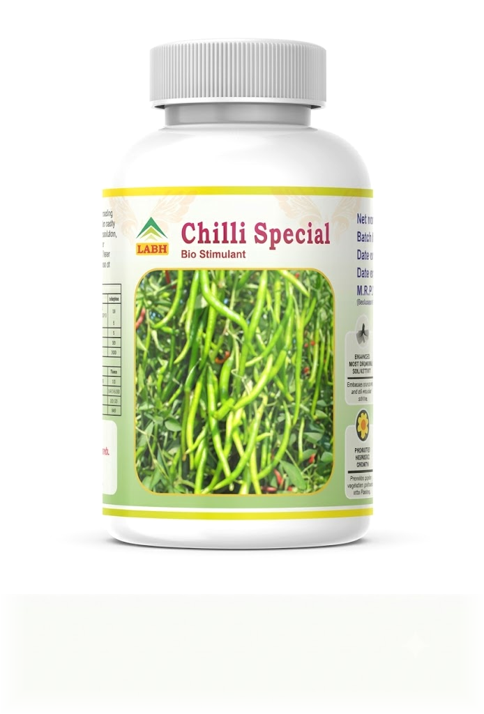 Chilli Special