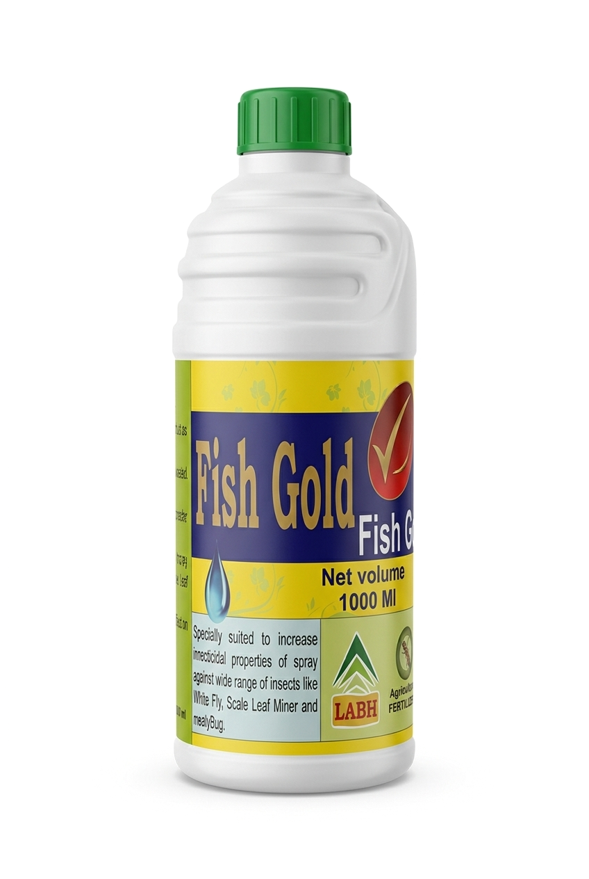 Fish Gold