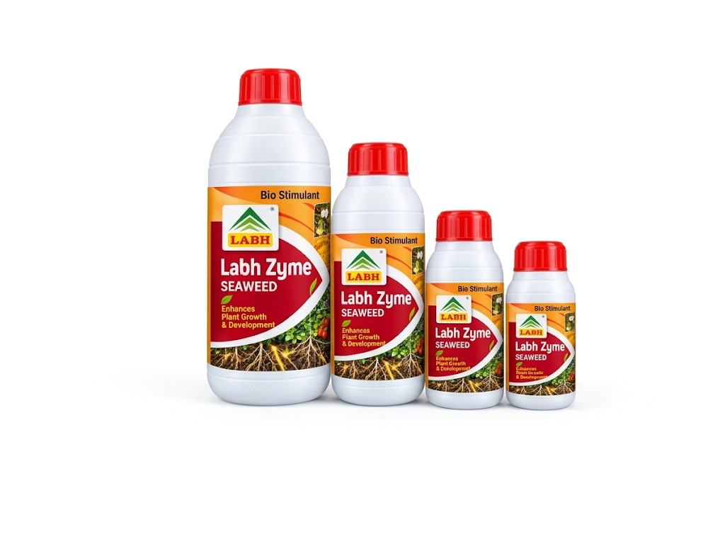 Labh Zyme Seaweed
