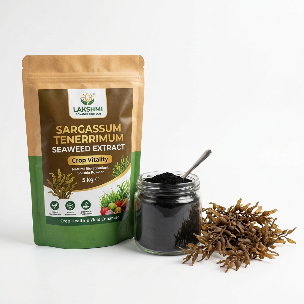 Sargassum tenerrimum Seaweed Extract